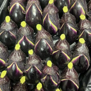 旬の果物〜青果市場直送 旬の果物〜青果市場直送 旬の